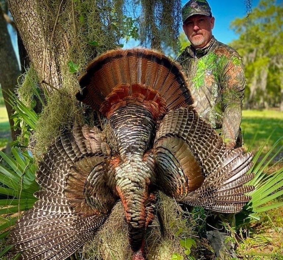 florida turkey hunting outfitters